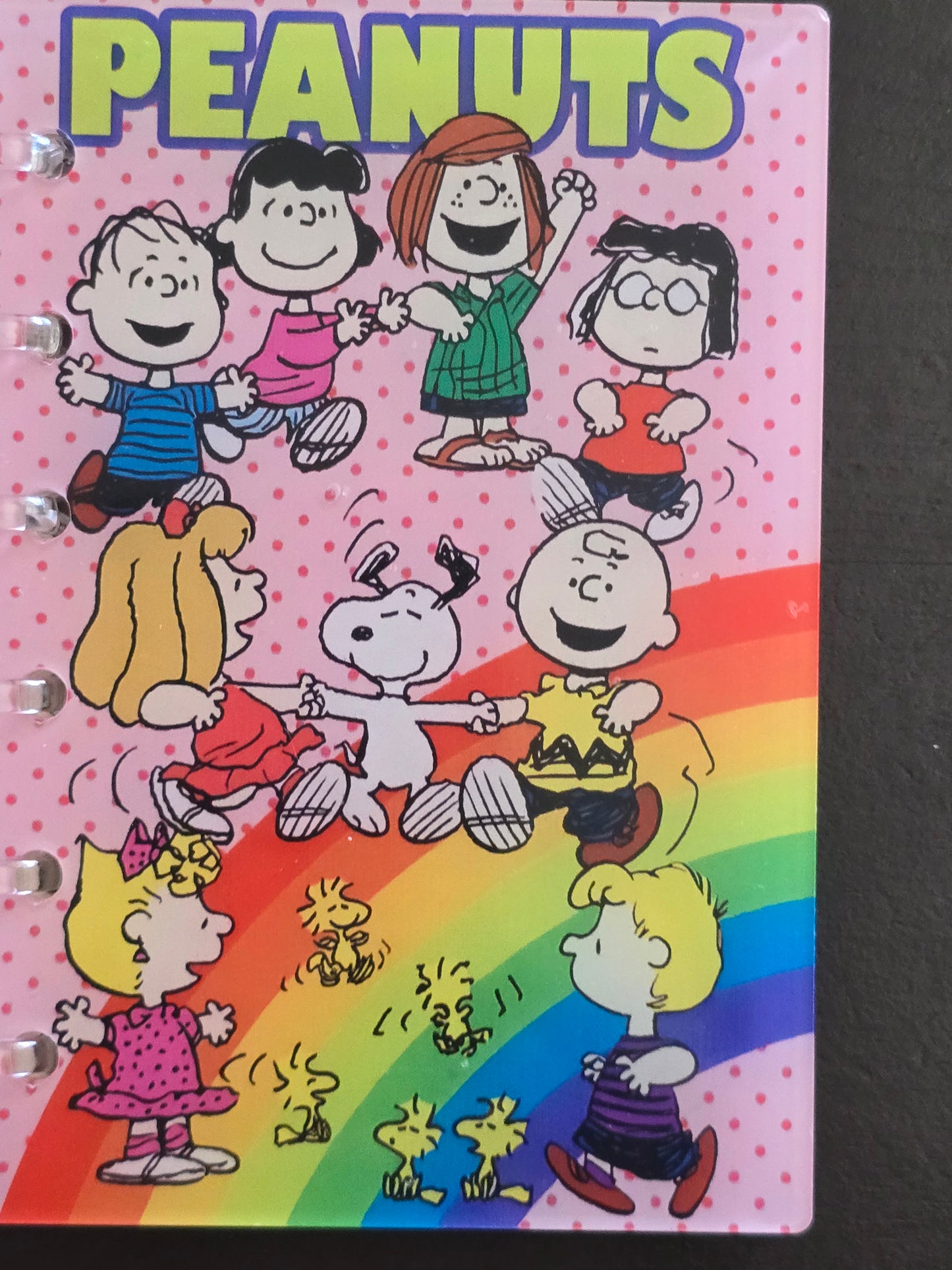 Notebook 4x6 with acrylic front and back cover