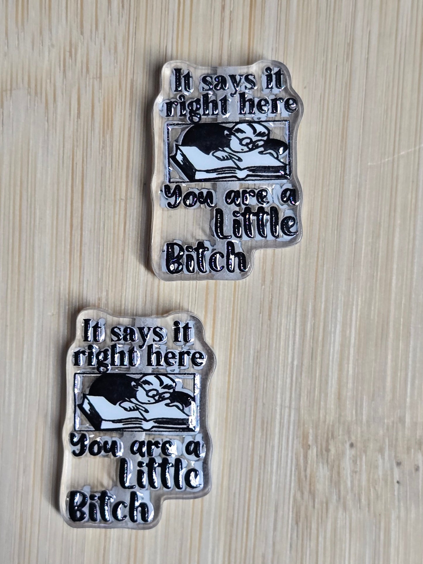 Acrylic focal beads adult humor