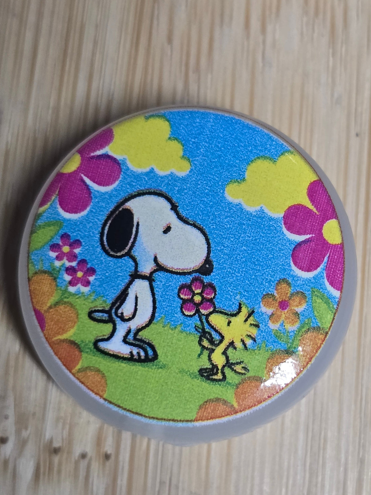 Acrylic focal beads- peanuts dog