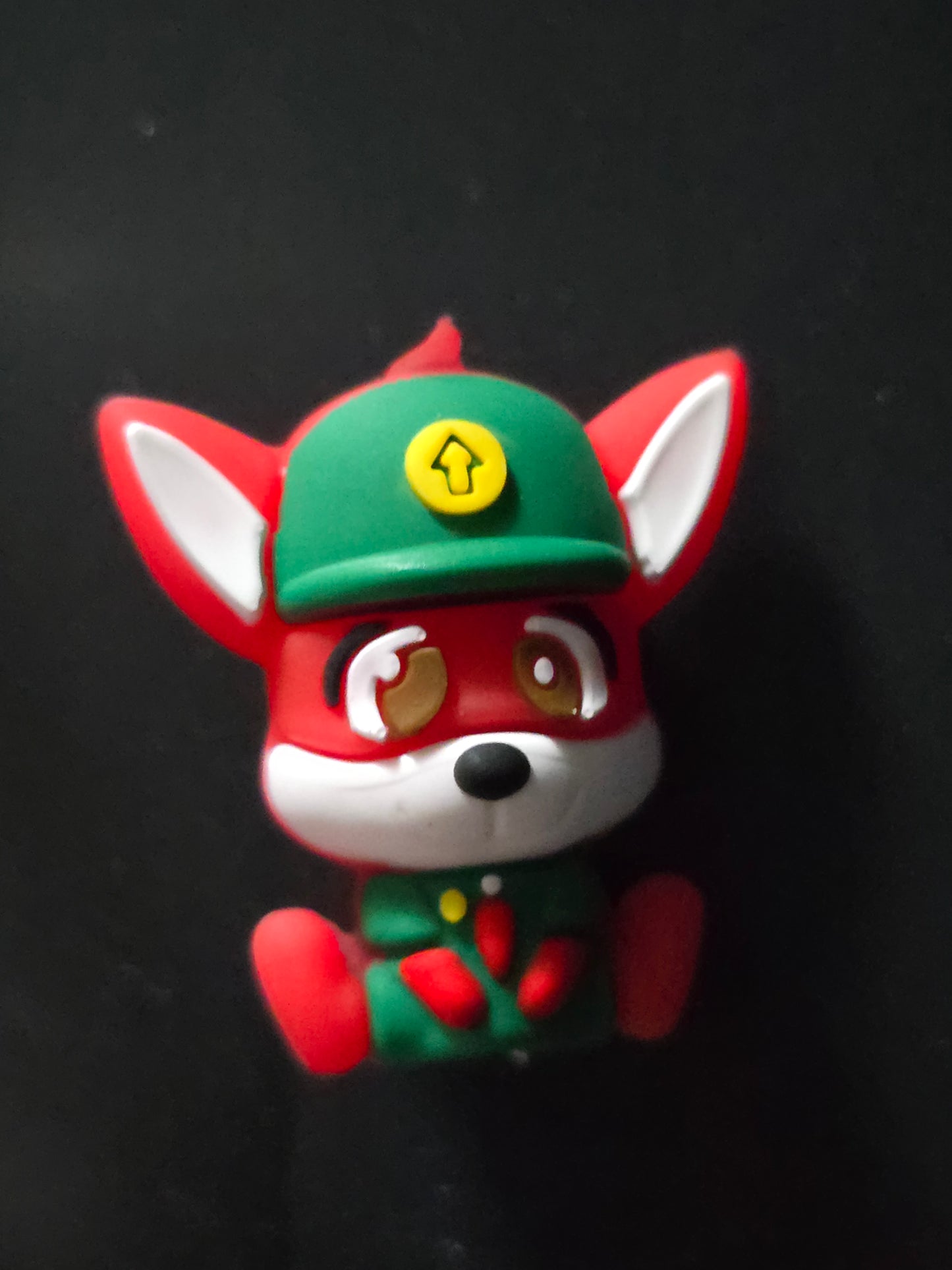 Focal- 3D paw patrol
