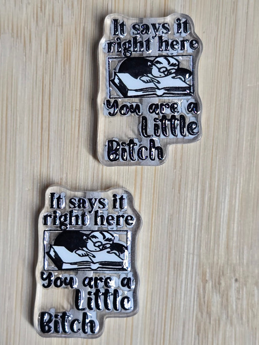 Acrylic focal beads adult humor