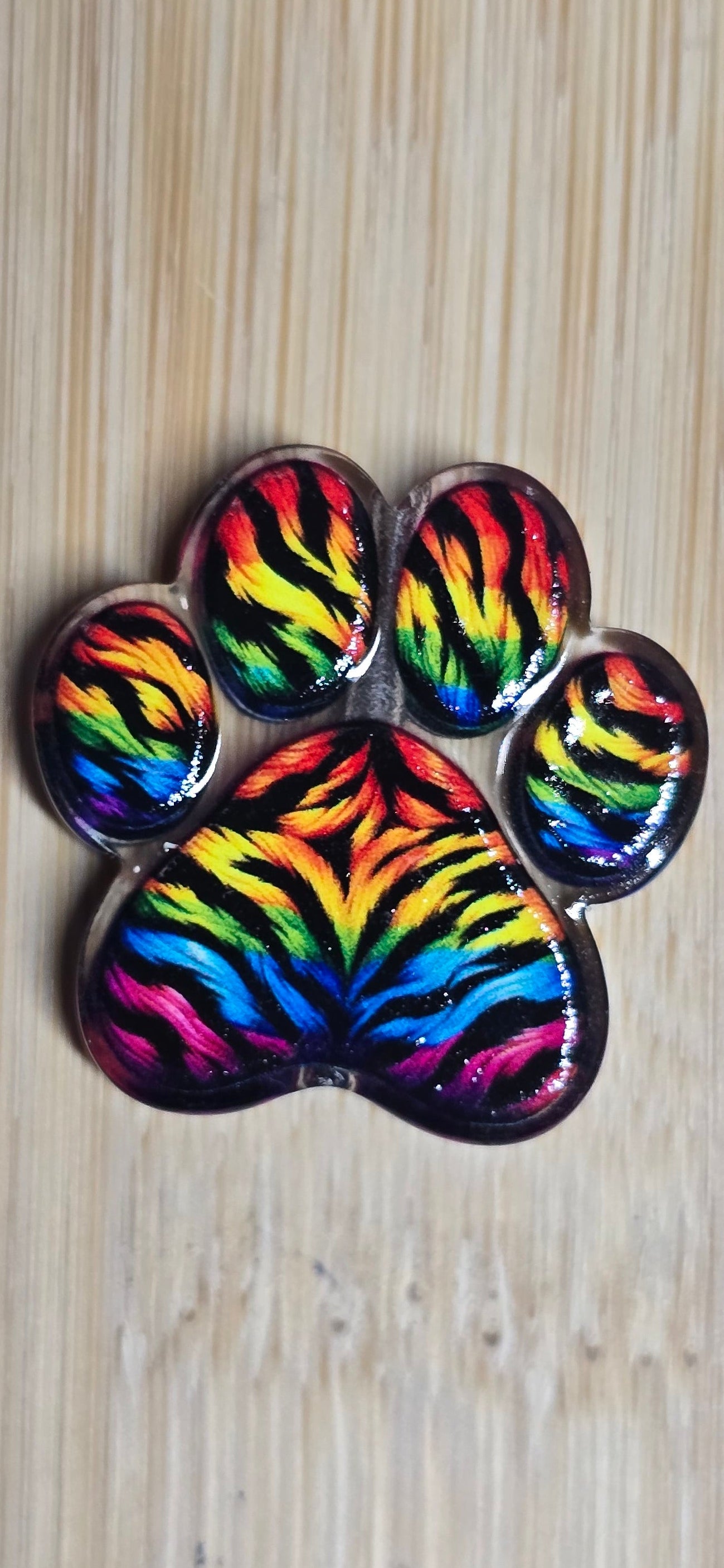 Acrylic focal beads rainbow tiger paw
